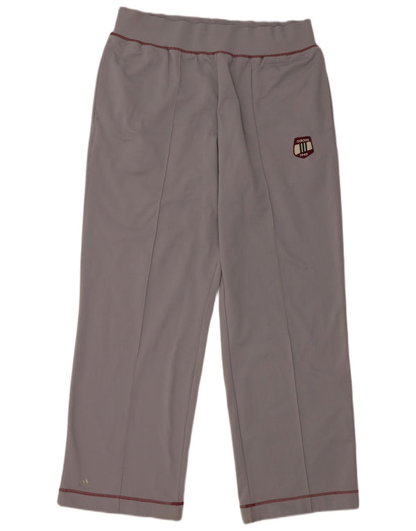 Pantaloni de trening pentru bărbați Adidas grafic XL poliester gri