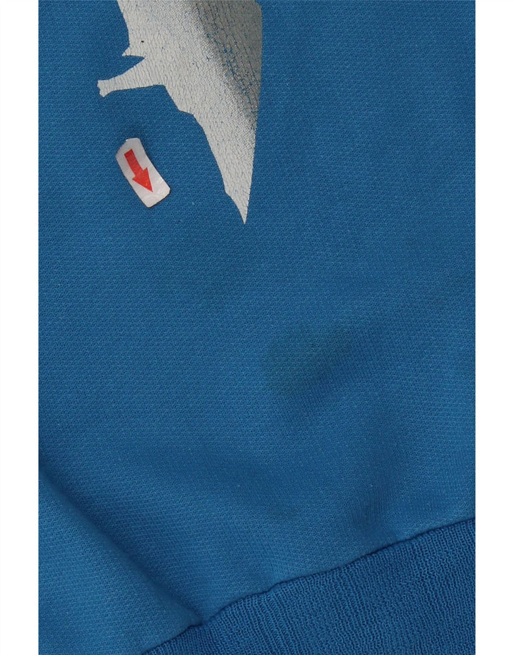 Hanorac vintage pentru bărbați cu grafică Jumper mediu albastru bumbac retro