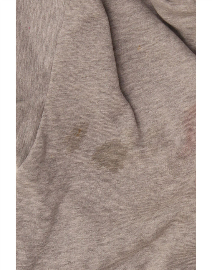 Pulover pentru bărbați Diesel Graphic Hoodie, mic, gri