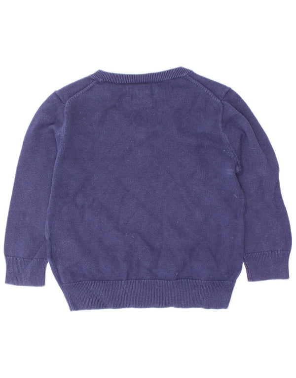 Pulover cu decolteu în V Polo Ralph Lauren pentru copii, 18-24 luni, bleumarin