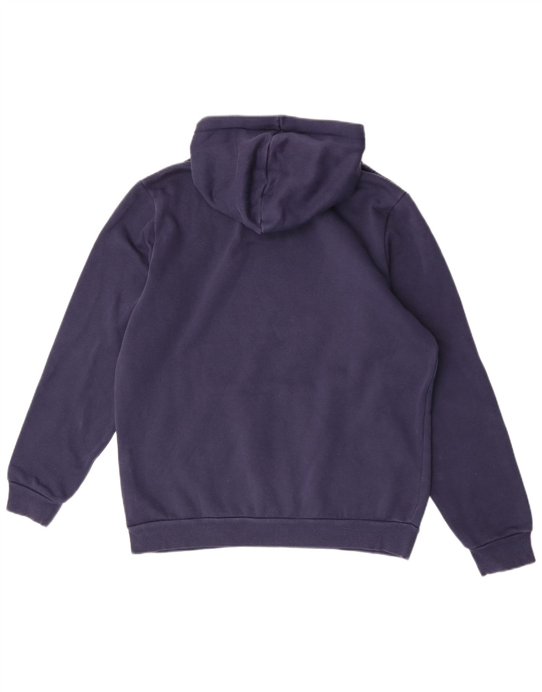 Pulover pentru bărbați Puma Graphic Hoodie Jumper mediu din bumbac bleumarin