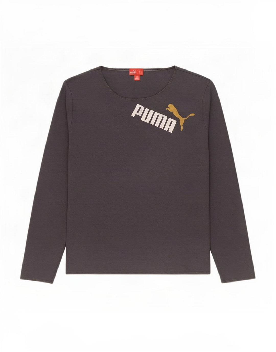Tricou cu mânecă lungă cu grafică Puma pentru femei UK 16, mare, gri