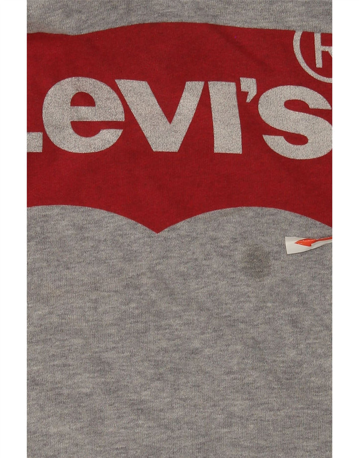 Pulover Levi's pentru bărbați cu capota cu grafică, bumbac cu pete, gri mediu