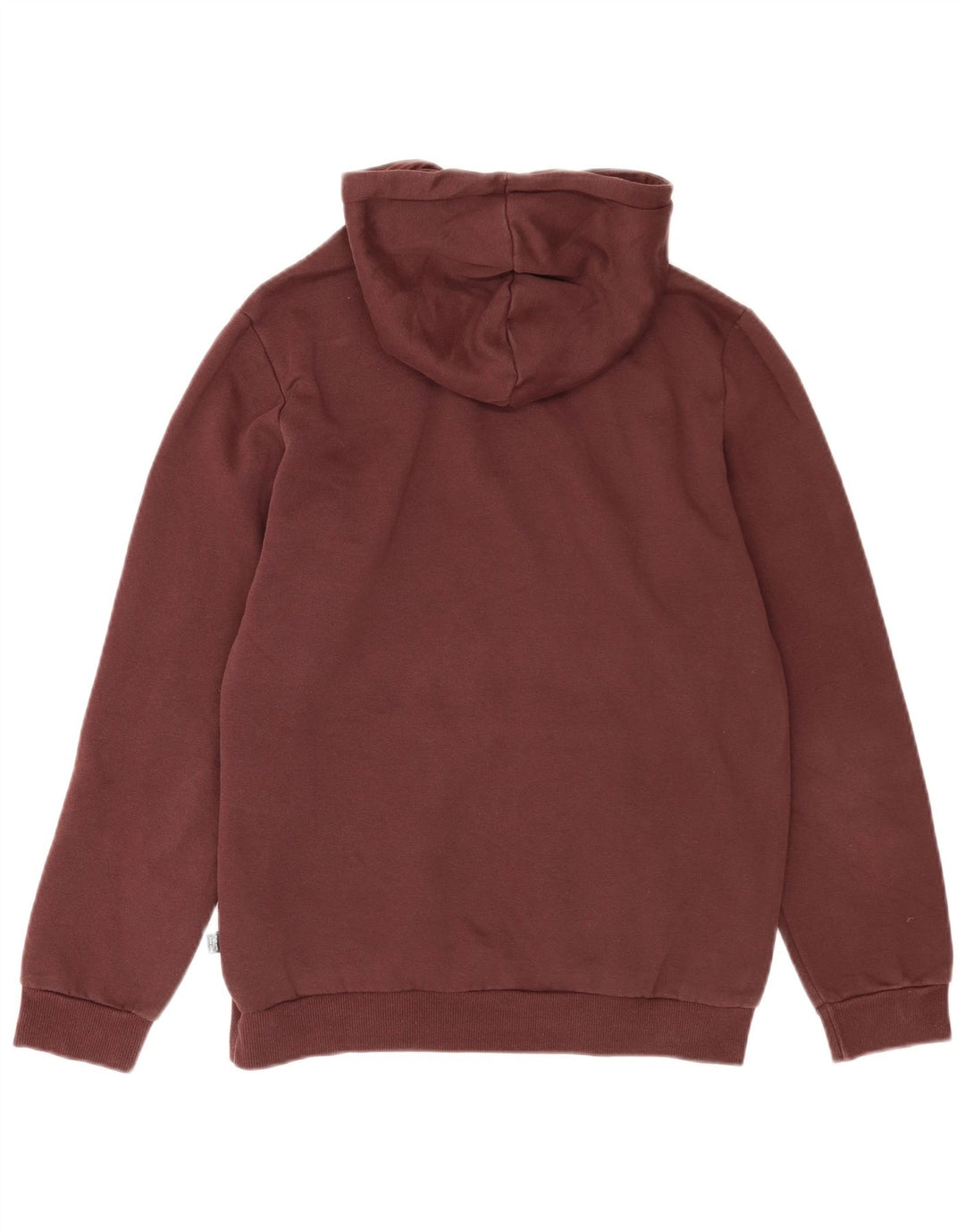 Pulover pentru bărbați Puma Graphic Hoodie Jumper mic, maro, bumbac