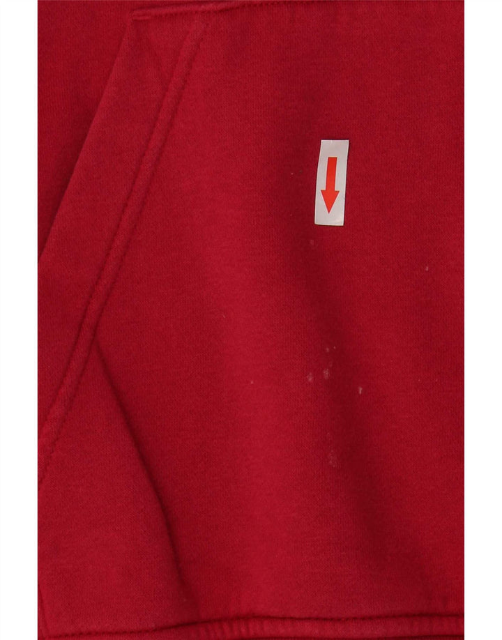 Jumper Jordan pentru bărbați cu capota, bumbac, roz mediu