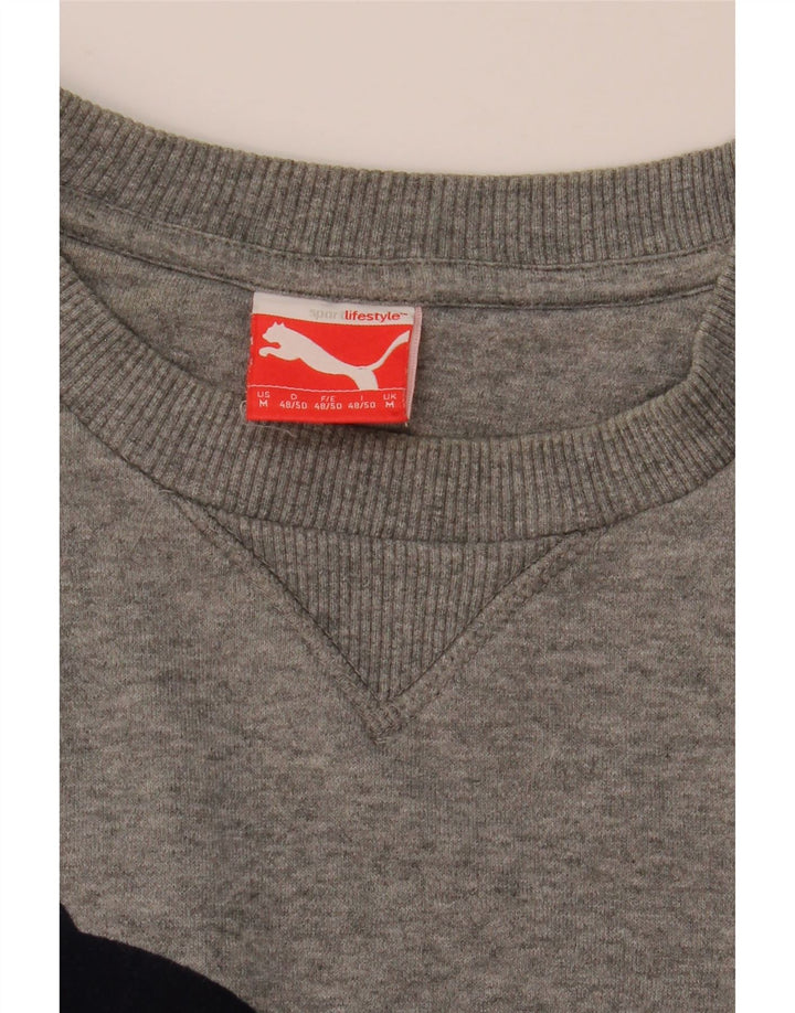 Pulover cu grafică Puma pentru bărbați, gri mediu pestat