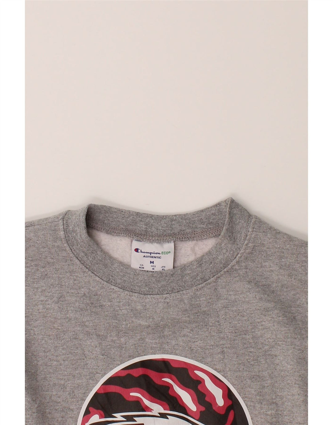 CHAMPION Mens Graphic Sweatshirt Jumper Medium Grey Vintage Champion and Second-Hand Champion from Messina Hembry 