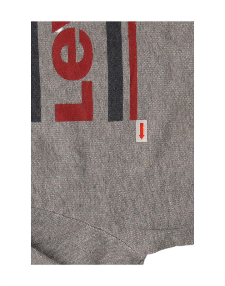 Pulover cu grafică LEVI'S pentru băieți, 11-12 ani, bumbac gri