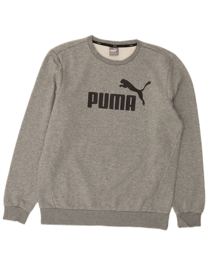 Hanorac grafic pentru bărbați PUMA Pulover mare, gri, bumbac cu pete