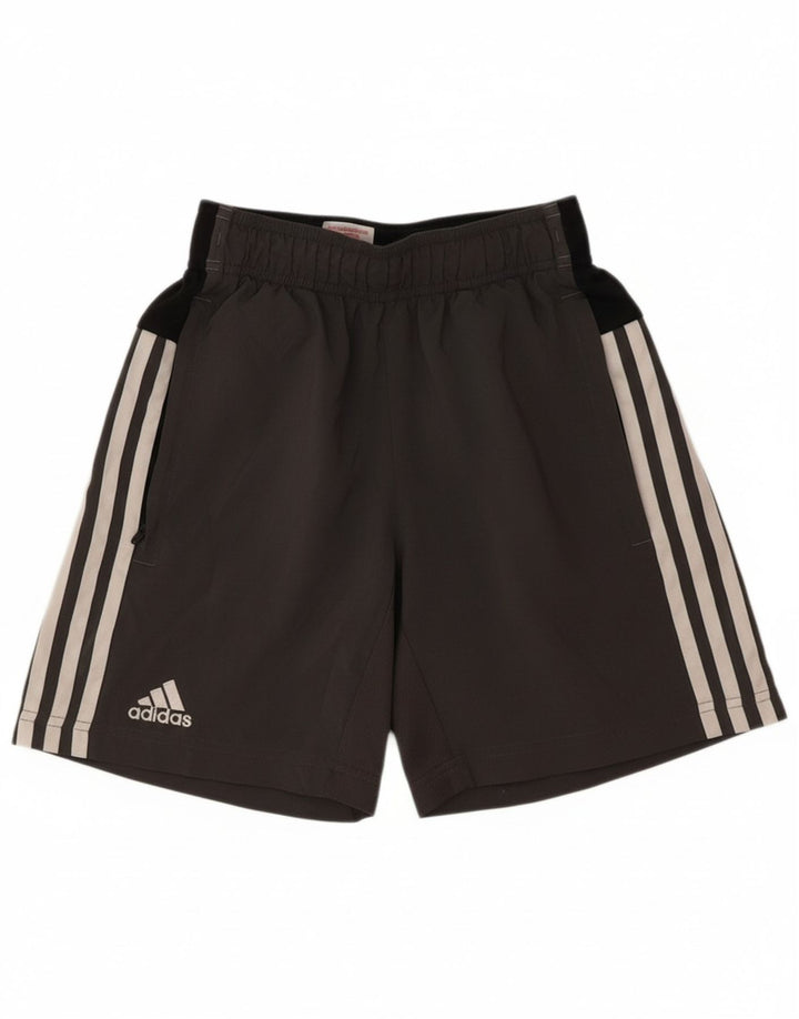 ADIDAS Boys Climalite Sport Shorts 11-12 Years  Grey Colourblock Polyester