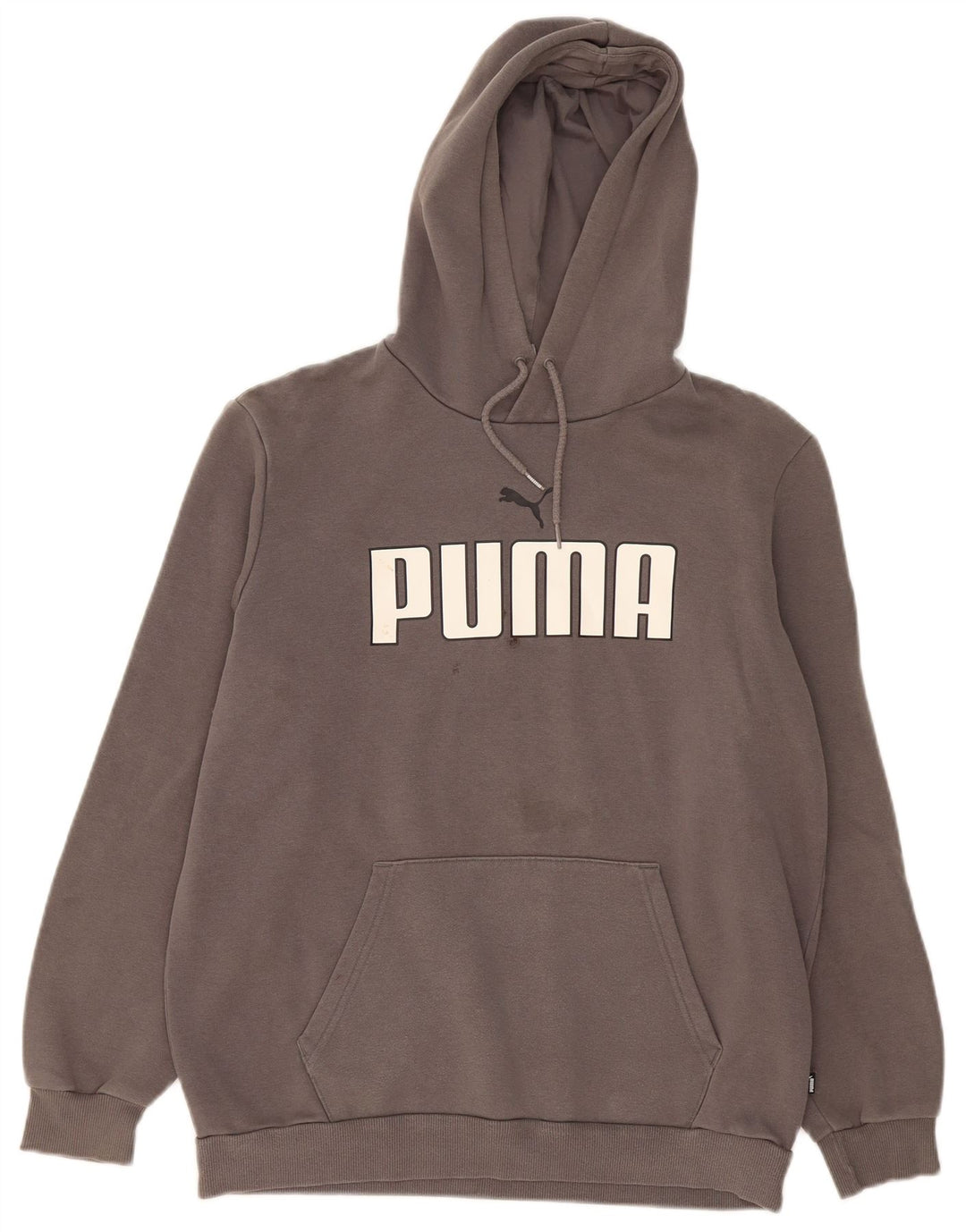 Pulover pentru bărbați Puma Graphic Hoodie, bumbac, gri mediu
