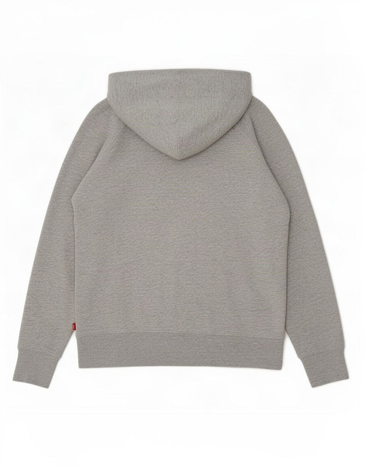 Pulover cu capota cu grafic Levi's pentru bărbați, bumbac mic, gri