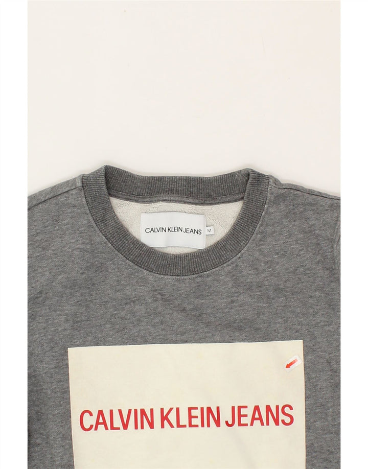 CALVIN KLEIN JEANS Womens Graphic Sweatshirt Jumper UK 14 Medium Grey Vintage Calvin Klein Jeans and Second-Hand Calvin Klein Jeans from Messina Hembry 