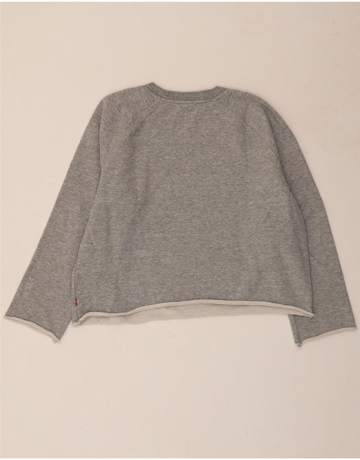 Pulover pentru damă LEVI'S Crop Graphic Pulover UK 16 mare, gri cu pete