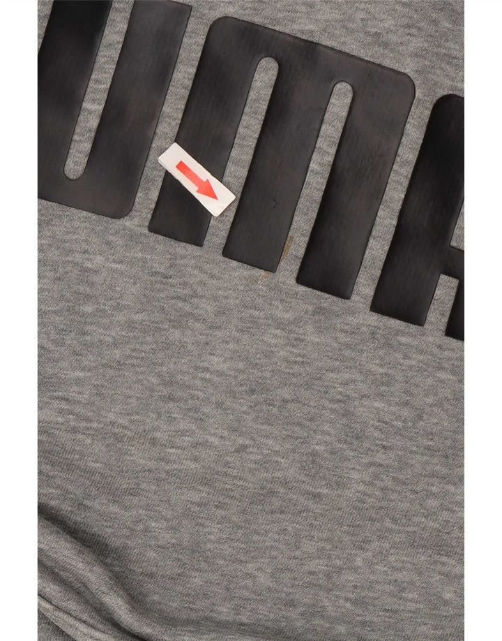 Pulover pentru bărbați Puma Graphic Hoodie, mic, gri