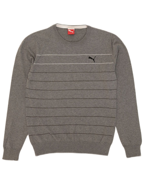Pulover Puma Crew Neck Jumper pentru bărbați, gri mediu cu dungi