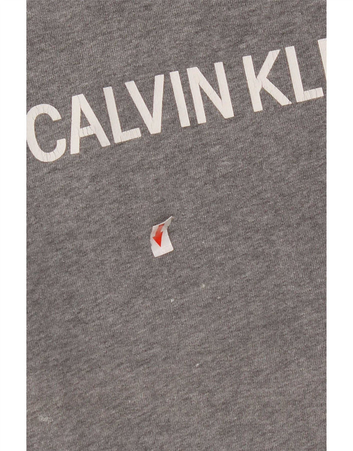 Hanorac grafic pentru bărbați Calvin Klein Jeans Pulover mic, gri, bumbac