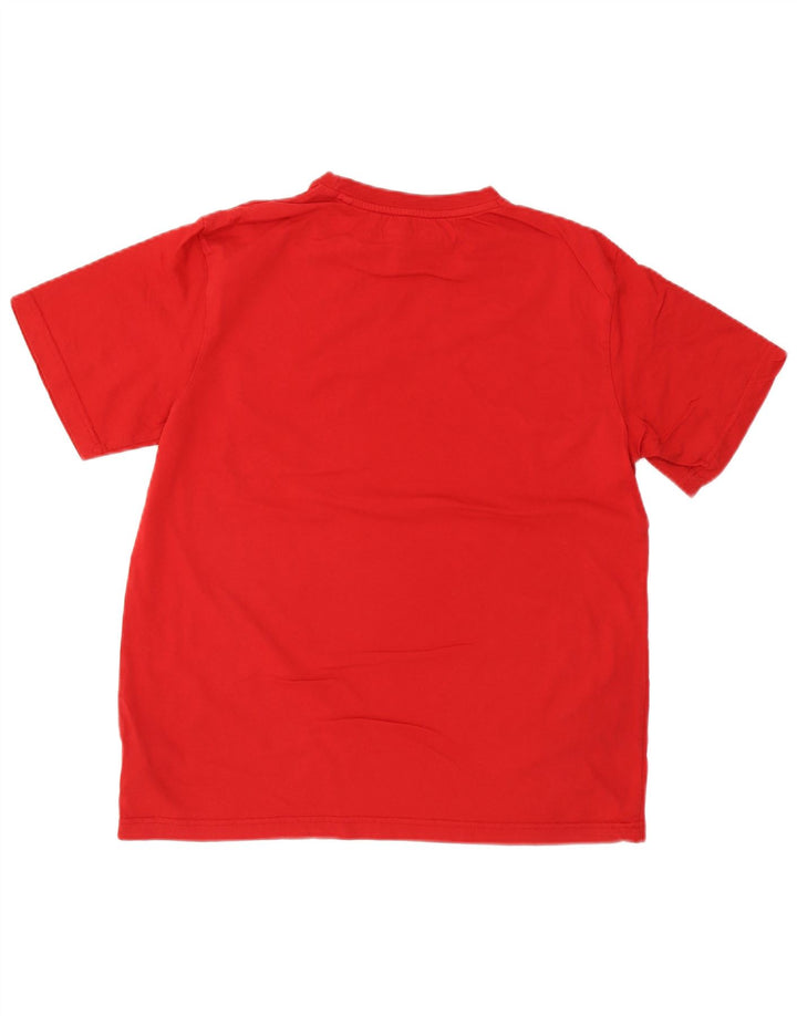 Tricou grafic pentru bărbați Berghaus Top mare bumbac roșu
