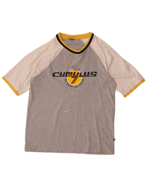 Tricou grafic Asics pentru bărbați Top mare gri Colorblock