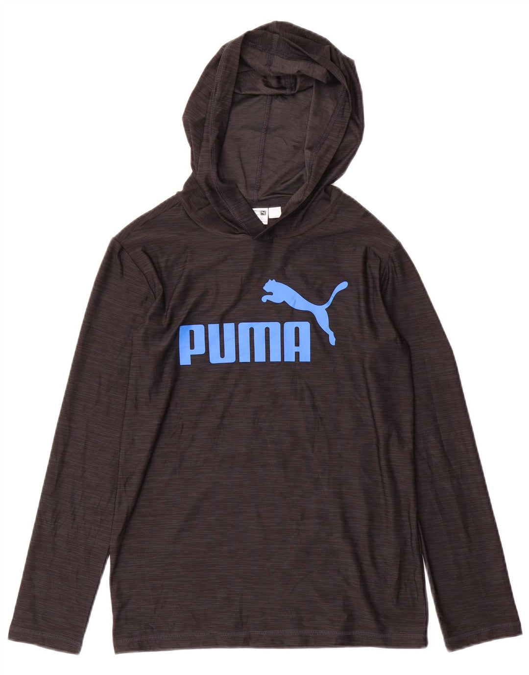 Puma Boys Hooded Graphic Top Manecă Lungă 10-11 Ani Medium Gri Pete