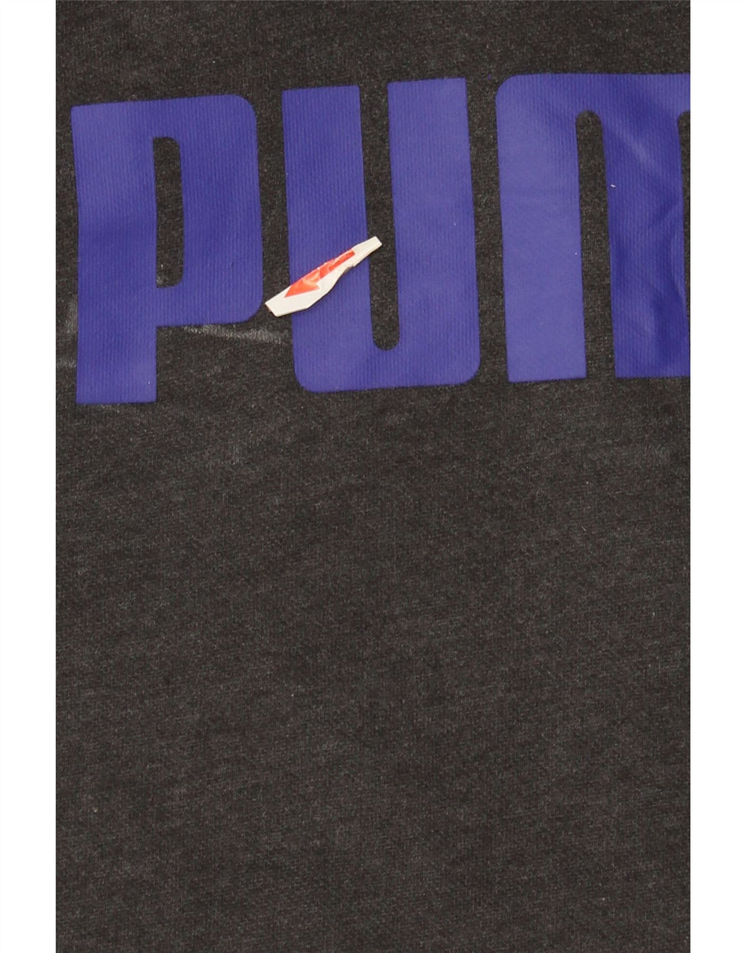 Pulover pentru bărbați Puma Graphic Hoodie, mare, gri