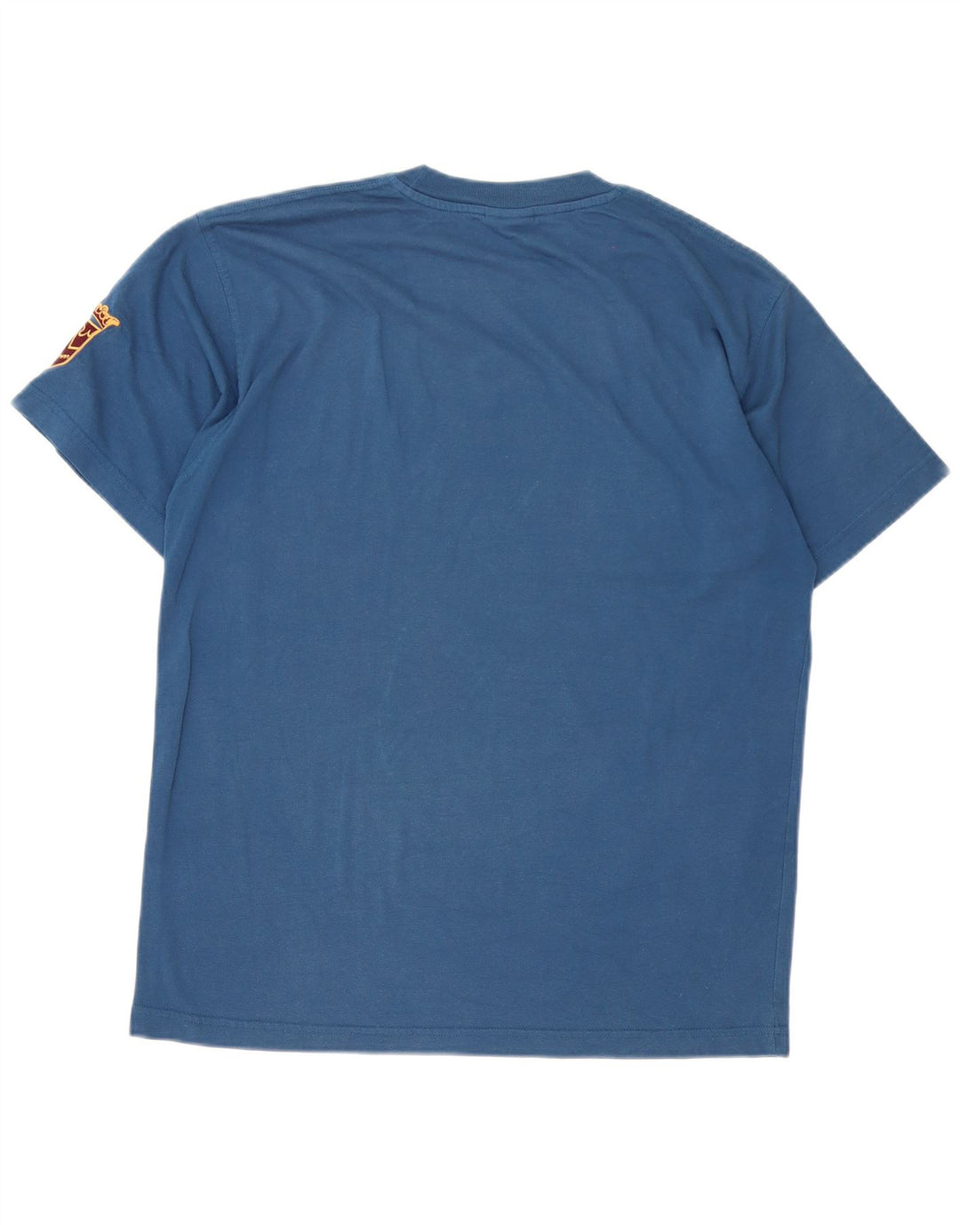 Tricou grafic Puma pentru bărbați Top Medium Blue