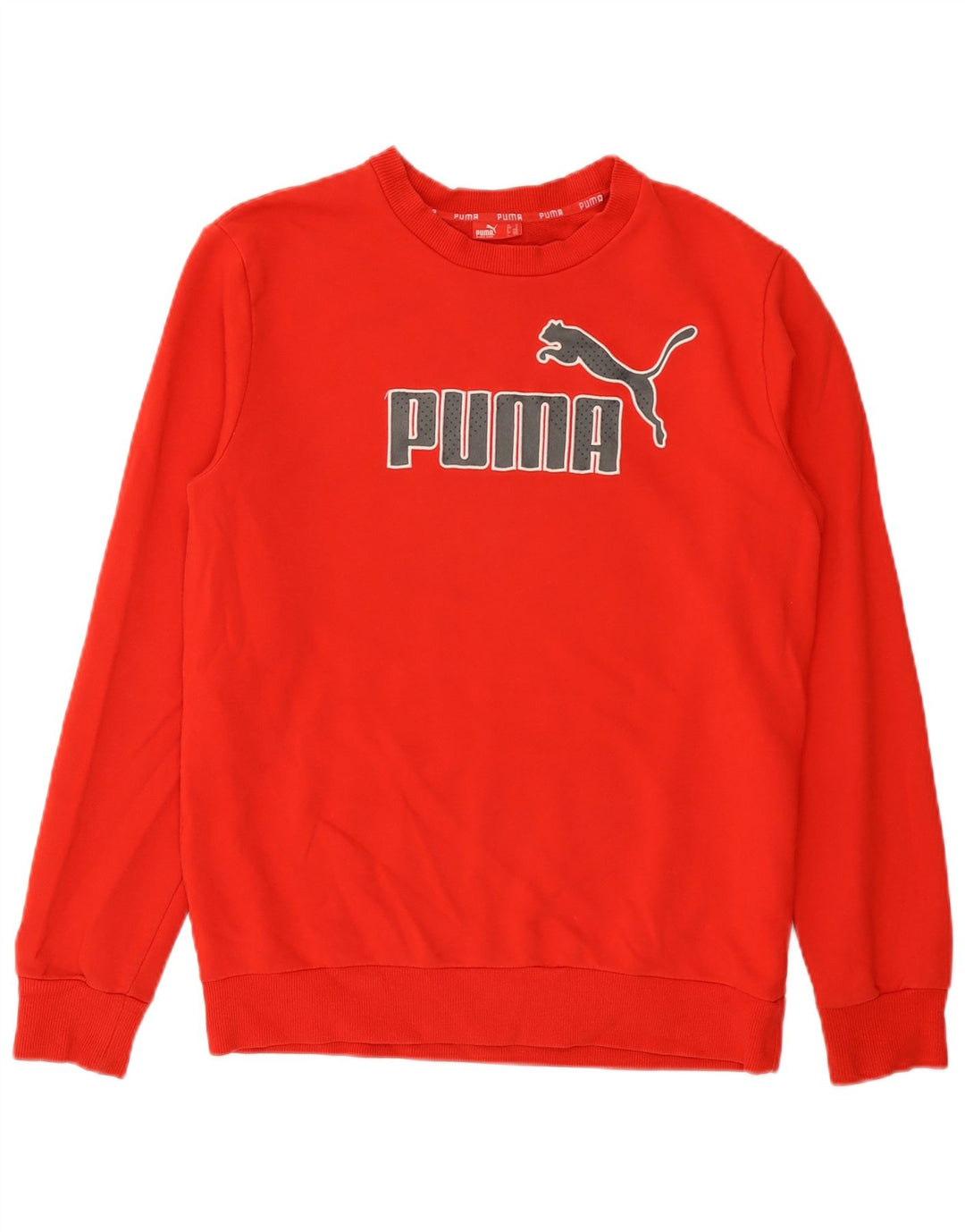 Hanorac grafic pentru bărbați Puma Jumper Bumbac Roșu Mediu