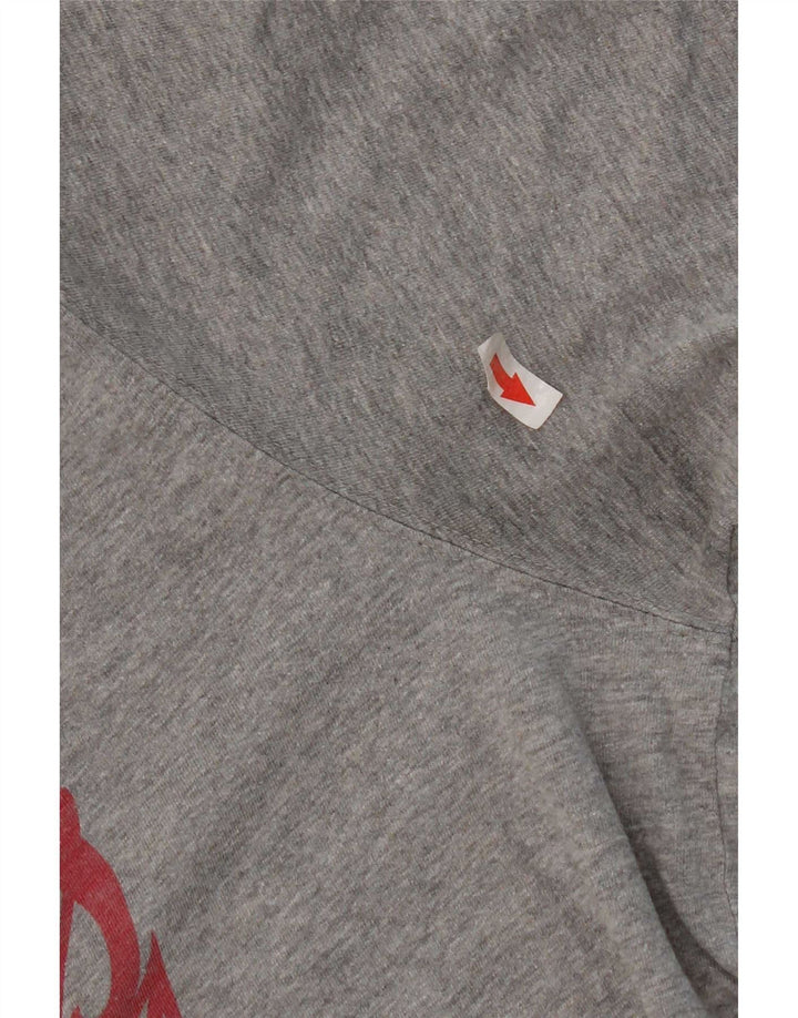 Tricou grafic pentru bărbați Dickies Top mare bumbac gri