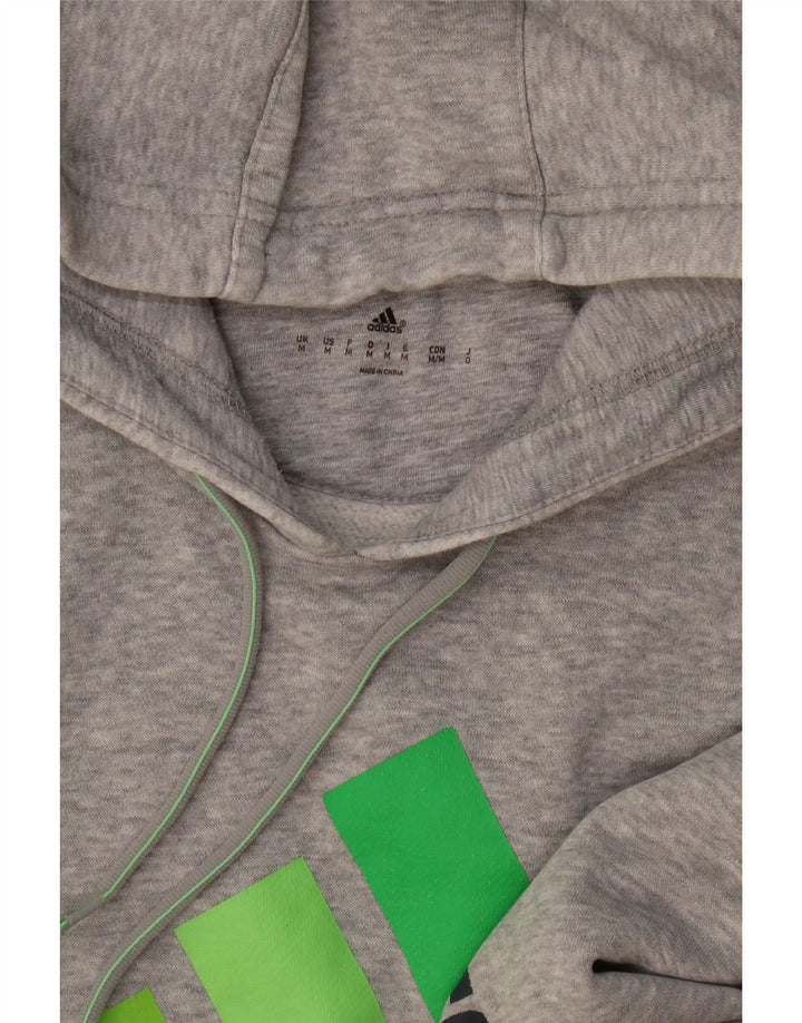 Pulover pentru bărbați Adidas Graphic Hoodie, gri mediu