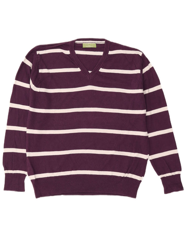 Pulover pentru bărbați Zara, cu decolteu în V, XL, bumbac cu dungi violet