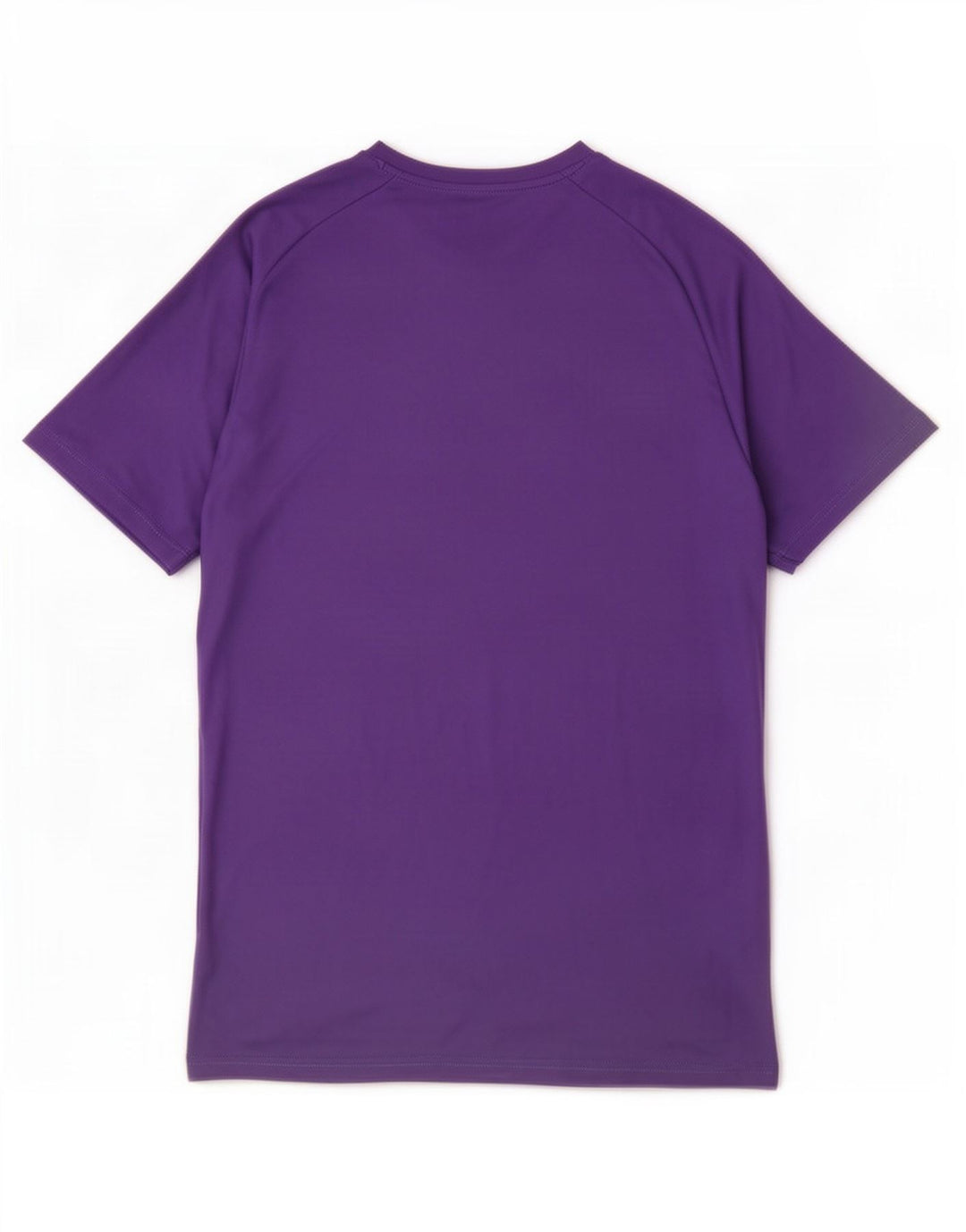Tricou pentru bărbați Puma Top Large Violet Poliester