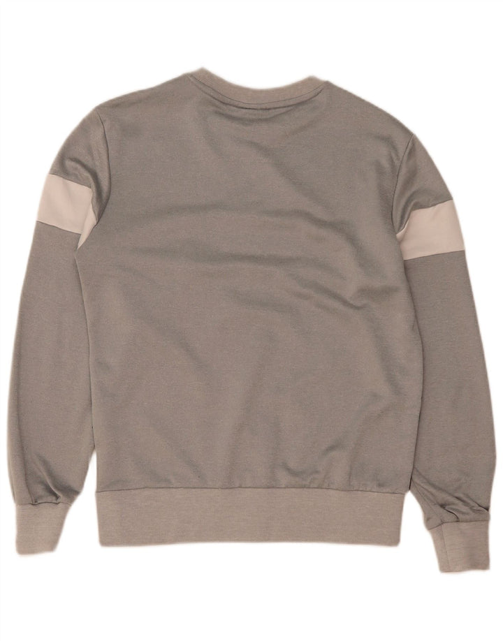 Hanorac cu grafic pentru bărbați Ellesse Pulover Gri mediu Poliester color bloc