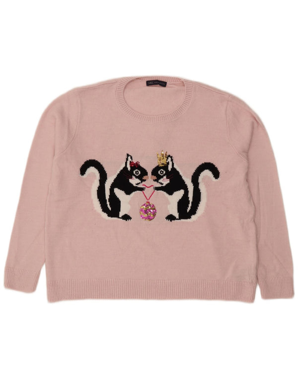 Pulover pentru femei Marks & Spencer, cu grafică, cu gât de barcă, UK 18 XL, roz