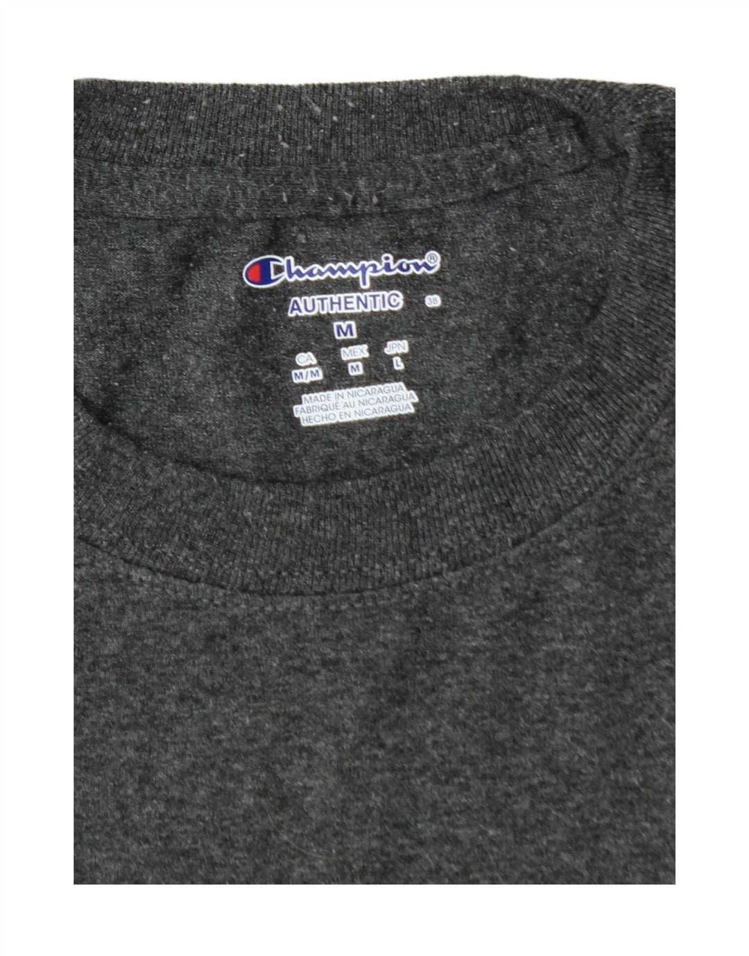 CHAMPION Mens Graphic T-Shirt Top Medium Grey Vintage Champion and Second-Hand Champion from Messina Hembry 