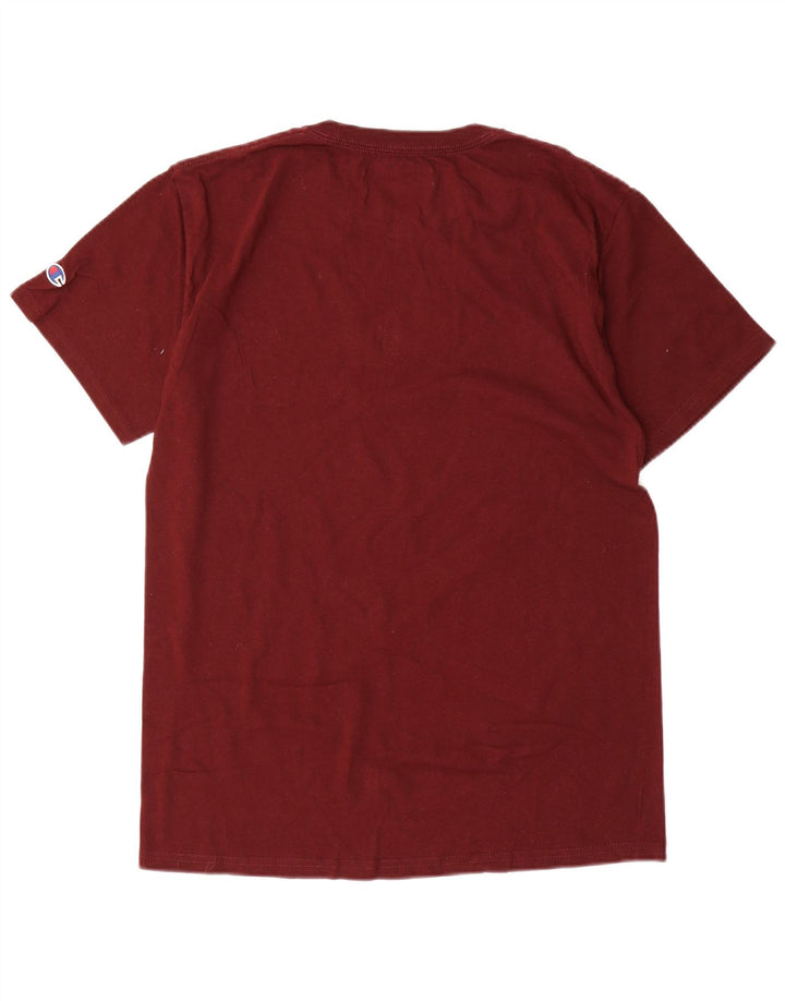 Tricou cu grafic normal pentru bărbați Champion, din bumbac maro mediu