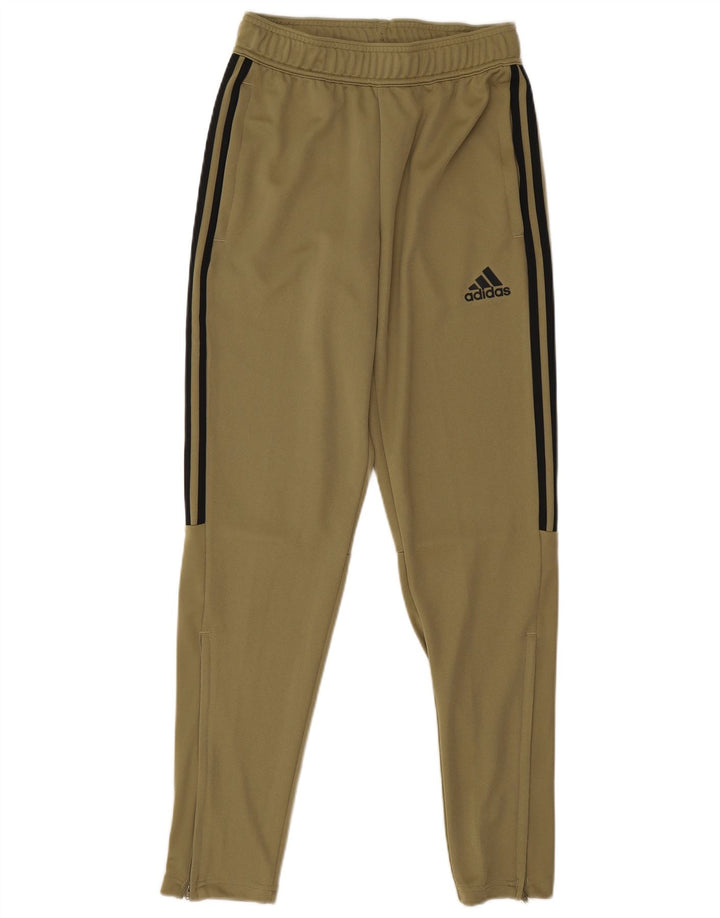 Pantaloni de trening Adidas pentru bărbați Mici Kaki Poliester