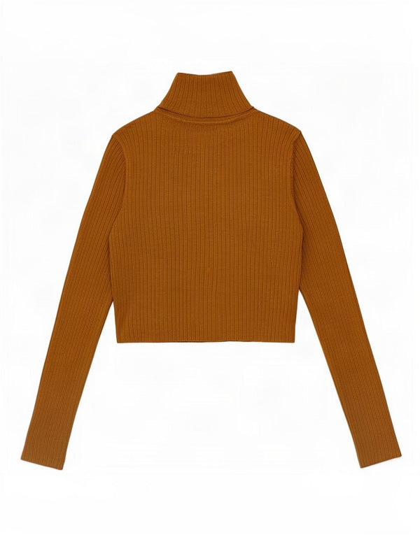Crop Top pentru femei Zara cu mânecă lungă UK 12 Medium Bej