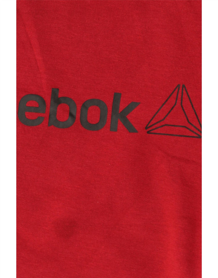 Hanorac grafic pentru bărbați Reebok Jumper mare Burgundy