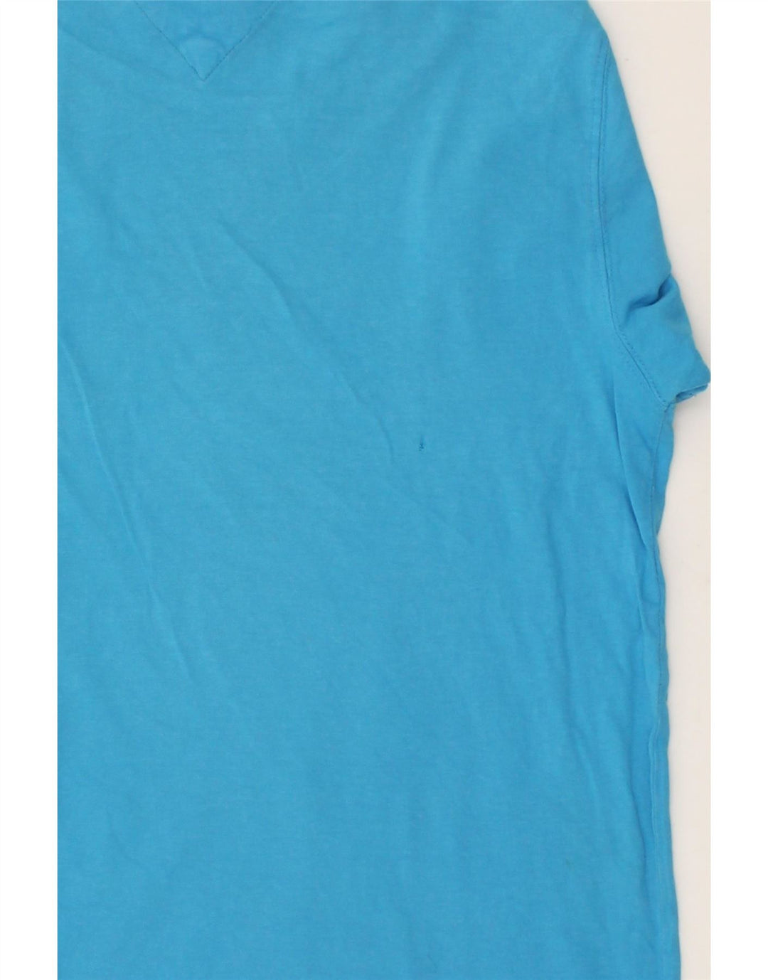 TOMMY HILFIGER Mens Graphic T-Shirt Top Medium Blue Cotton Vintage Tommy Hilfiger and Second-Hand Tommy Hilfiger from Messina Hembry 