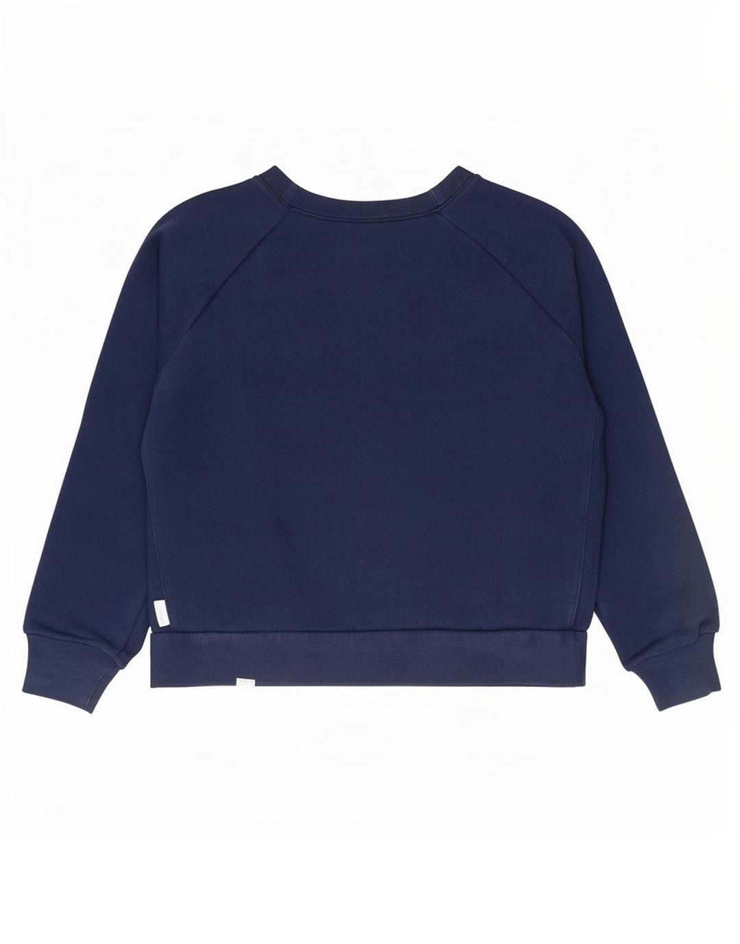 Pulover pentru femei Reebok Graphic Oversized Sweat UK 12/14 Medium Bleumarin