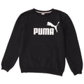 Pulover cu grafică Puma pentru băieți, 13-14 ani, negru
