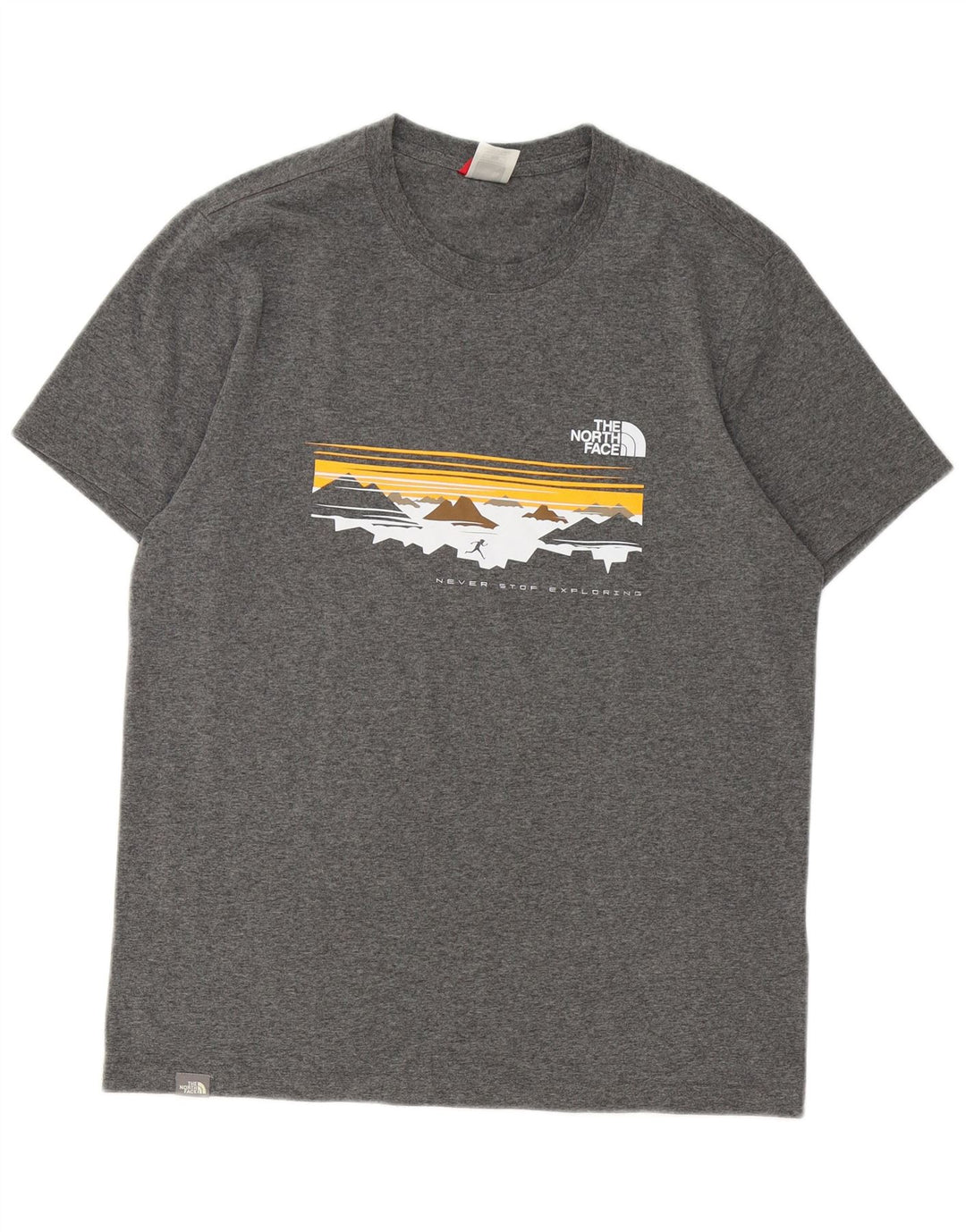 Tricou grafic pentru bărbați THE NORTH FACE Top din bumbac gri mediu