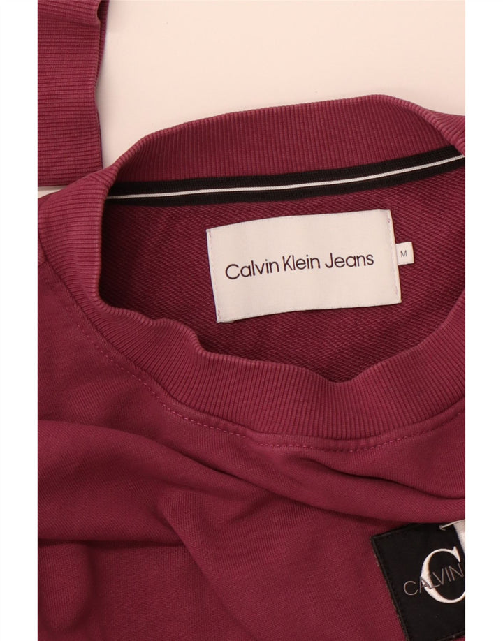 CALVIN KLEIN JEANS Hanorac grafic pentru bărbați Pulover mediu violet