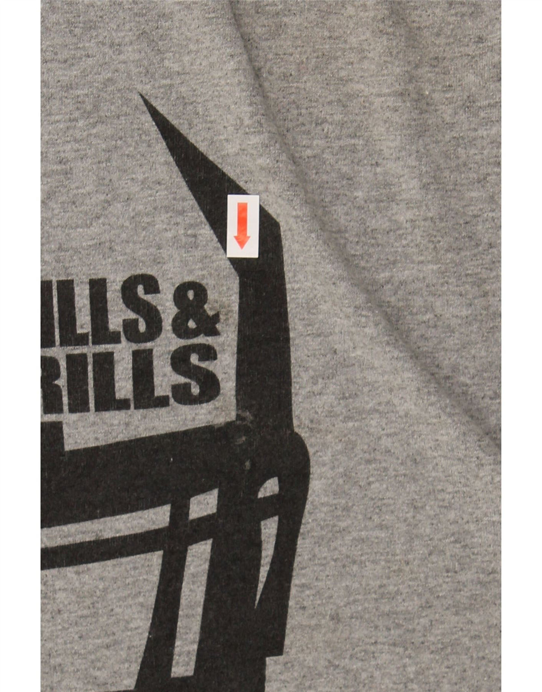 RUSSELL ATHLETIC Mens Graphic T-Shirt Top Large Grey Polyester Vintage Russell Athletic and Second-Hand Russell Athletic from Messina Hembry 