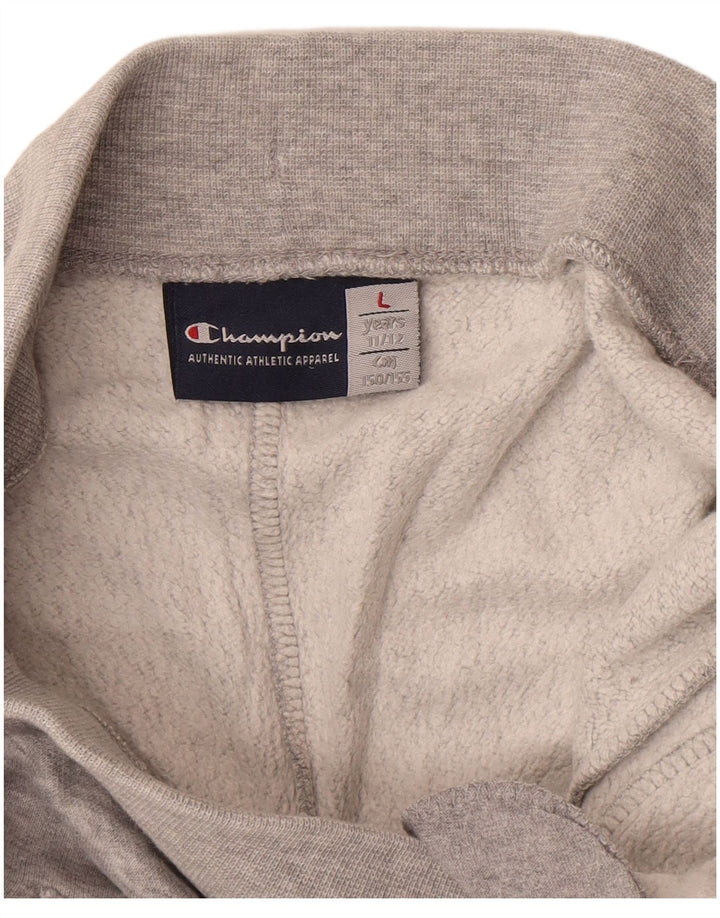 Champion Fete 11-12 Ani Mare Gri