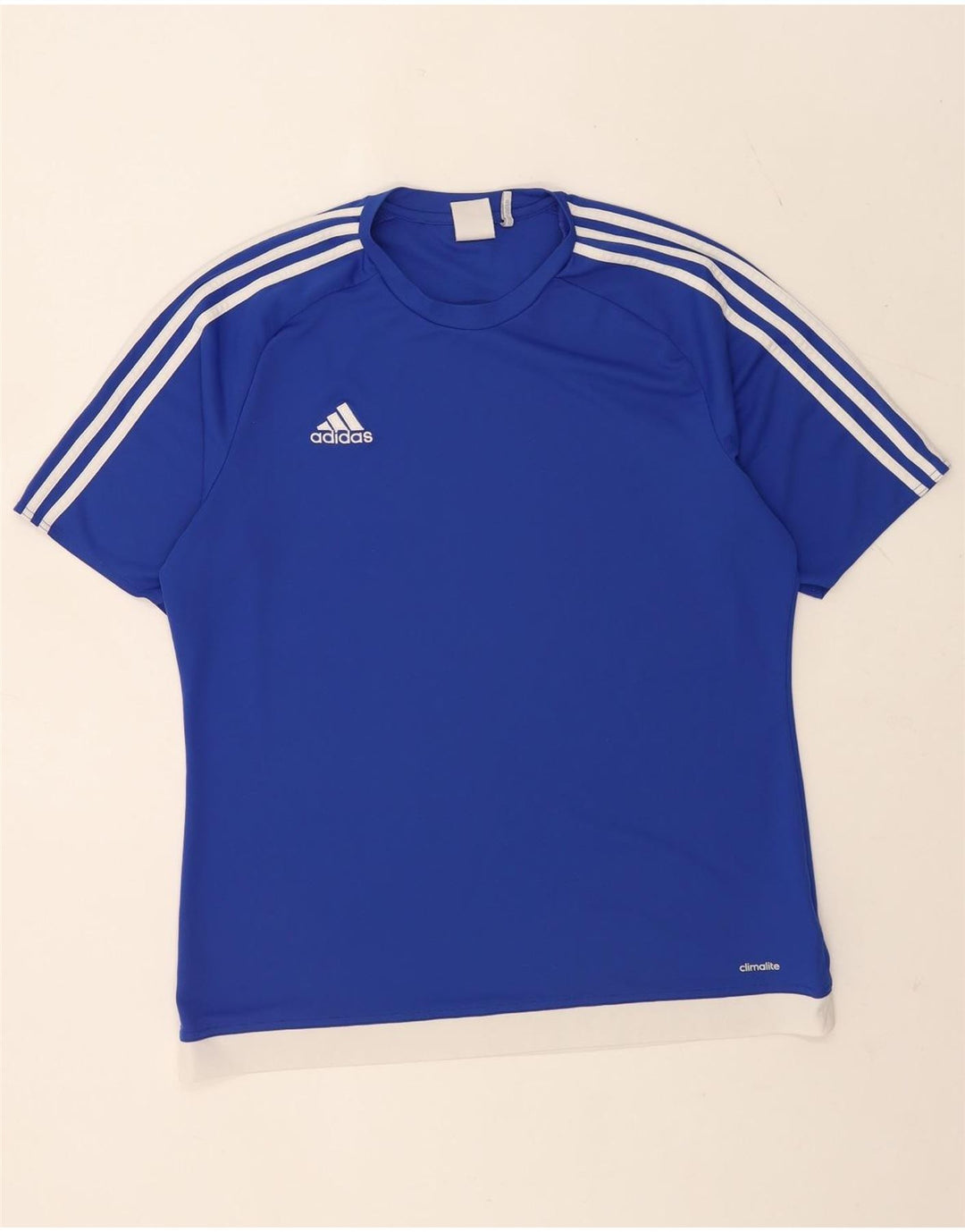 Tricou Adidas Climalite pentru bărbați Top mare, albastru, poliester color bloc