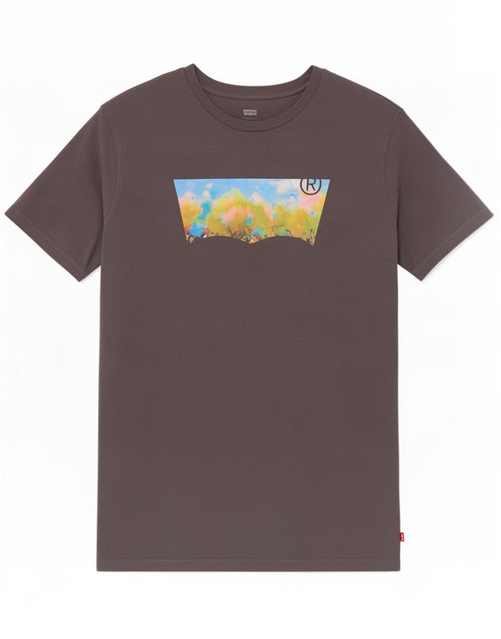 Tricou grafic pentru bărbați Levi's Top mare gri