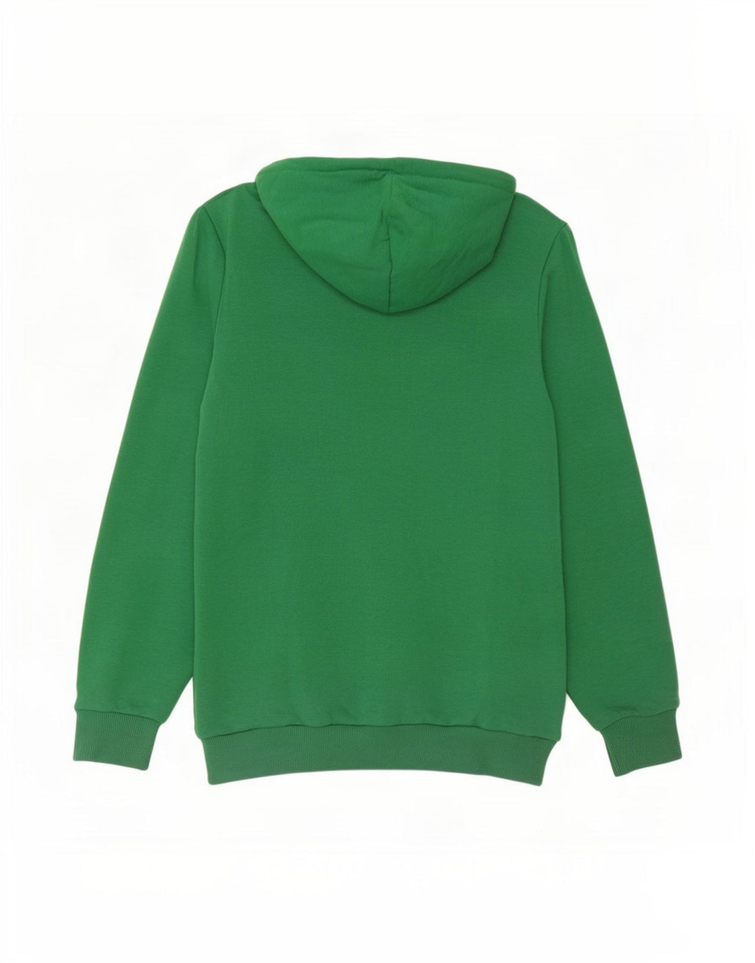Pulover pentru bărbați Puma Graphic Hoodie, verde mediu