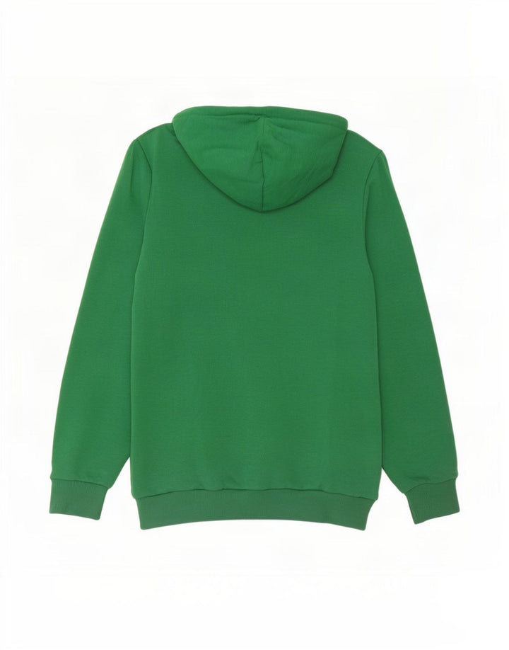 Pulover pentru bărbați Puma Graphic Hoodie, verde mediu