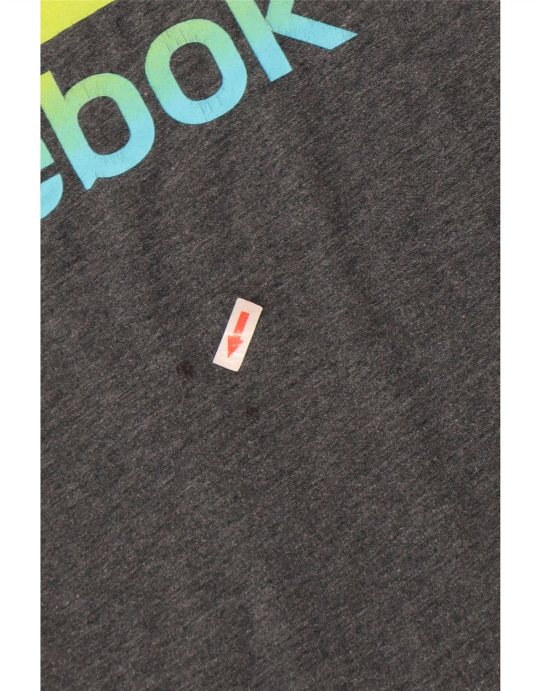 Tricou grafic pentru bărbați Reebok Top mare poliester gri